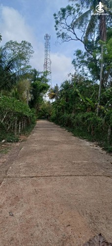 Land for Sale in Udubaddawa - Land for Sale in Udubaddawa - photo 2