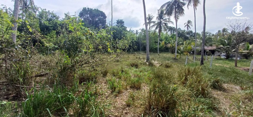 Land for Sale in Udubaddawa - Land for Sale in Udubaddawa - photo 3