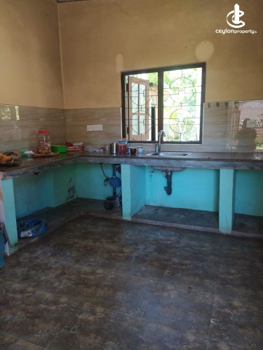 House for Sale in Giriulla - House for Sale in Giriulla - photo 5