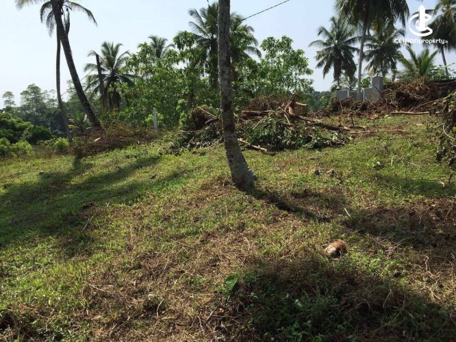 Land for Sale in Maggona - Land for Sale in Maggona - photo 2