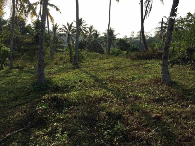 Land for Sale in Maggona - Land for Sale in Maggona - photo 3