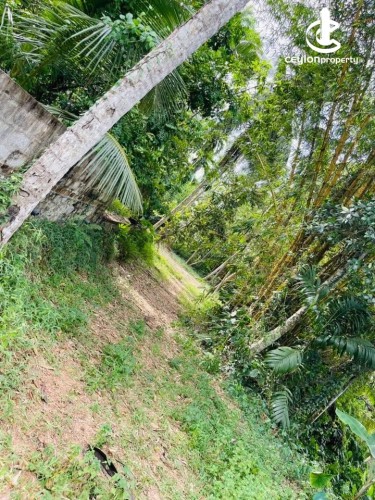 Land for Sale in Kadawatha - Land for Sale in Kadawatha - photo 1