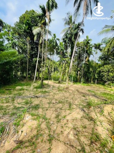 Land for Sale in Kadawatha - Land for Sale in Kadawatha - photo 2