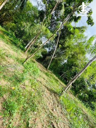 Land for Sale in Kadawatha - Land for Sale in Kadawatha - photo 4