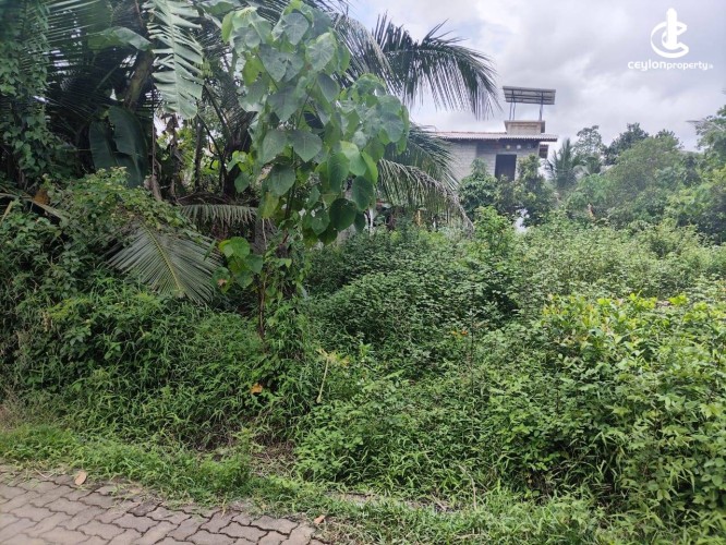 Land for Sale in Kiriwattuduwa - Land for Sale in Kiriwattuduwa - photo 2