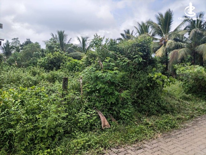 Land for Sale in Kiriwattuduwa - Land for Sale in Kiriwattuduwa - photo 3