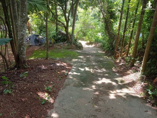 House for Sale in Kalutara - House for Sale in Kalutara - photo 4