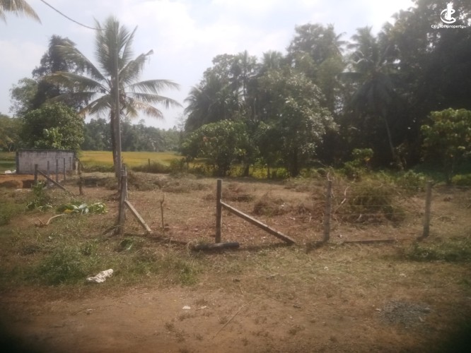 Land for Sale in Homagama - Land for Sale in Homagama - photo 1