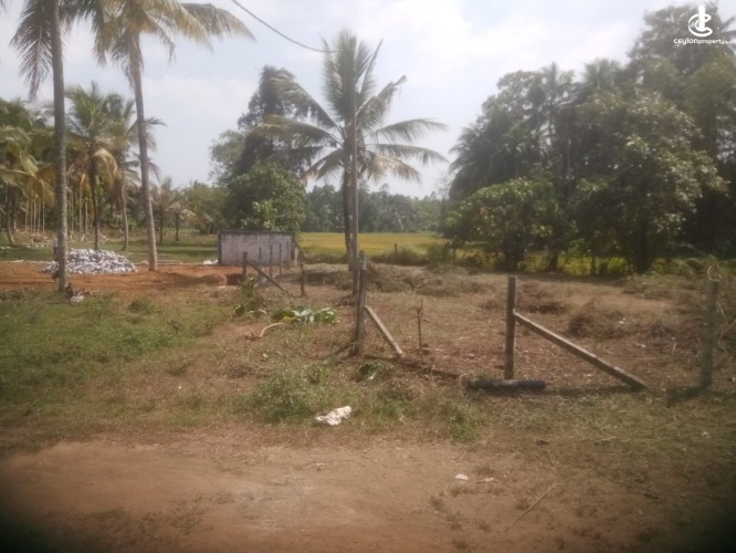 Land for Sale in Homagama - Land for Sale in Homagama - photo 2