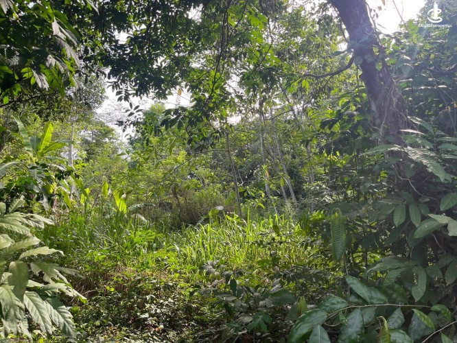 Land for Sale in Habaraduwa - Land for Sale in Habaraduwa - photo 2