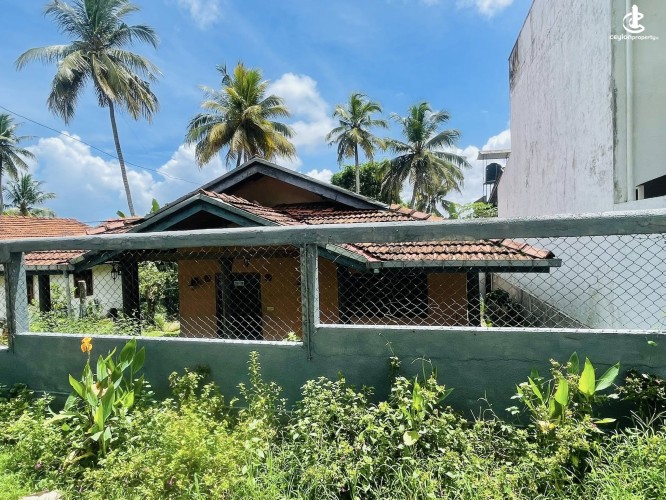 House for Sale in Ragama - House for Sale in Ragama - photo 1