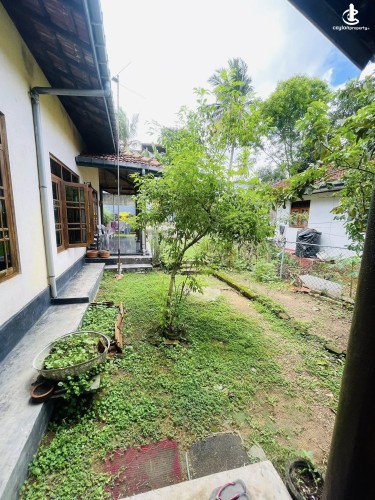 House for Sale in Ragama - House for Sale in Ragama - photo 5
