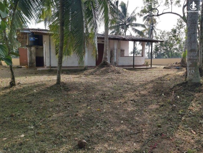Land for Sale in Homagama - Land for Sale in Homagama - photo 2
