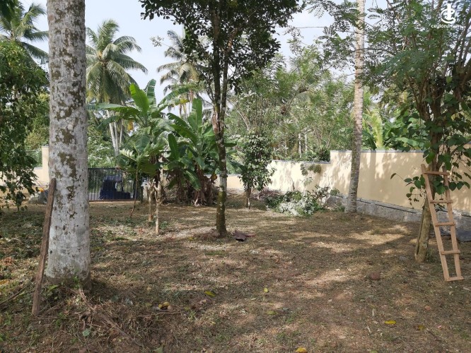 Land for Sale in Homagama - Land for Sale in Homagama - photo 3