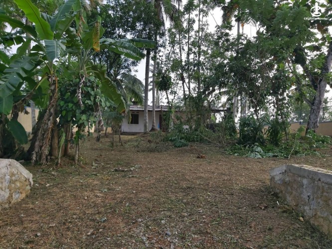 Land for Sale in Homagama - Land for Sale in Homagama - photo 5