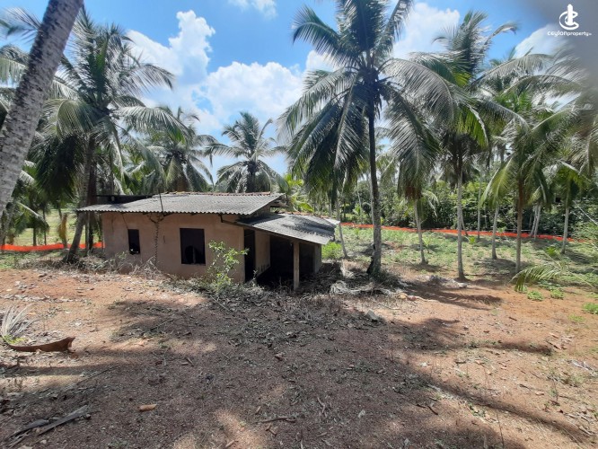 Land for Sale in Radawana - Land for Sale in Radawana - photo 1
