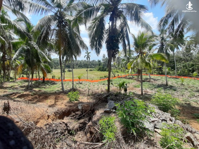 Land for Sale in Radawana - Land for Sale in Radawana - photo 3