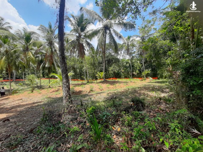 Land for Sale in Radawana - Land for Sale in Radawana - photo 5