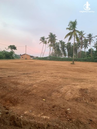 Land for Sale in Minuwangoda - Land for Sale in Kegalle - photo 1