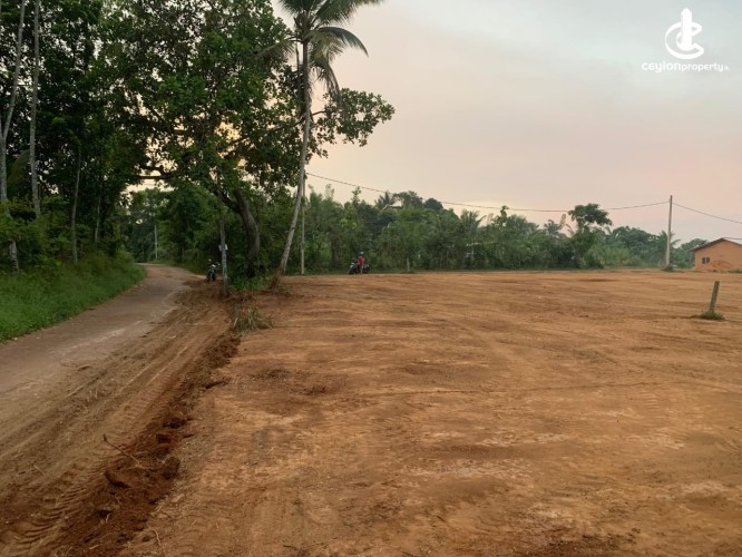 Land for Sale in Minuwangoda - Land for Sale in Kegalle - photo 2