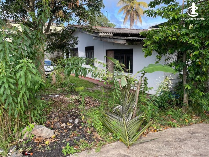 Land for Sale in Nugegoda - Land for Sale in Nugegoda - photo 2