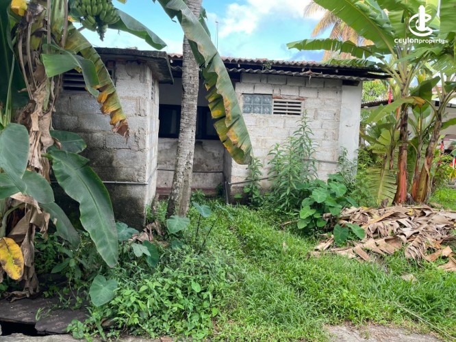 Land for Sale in Nugegoda - Land for Sale in Nugegoda - photo 3