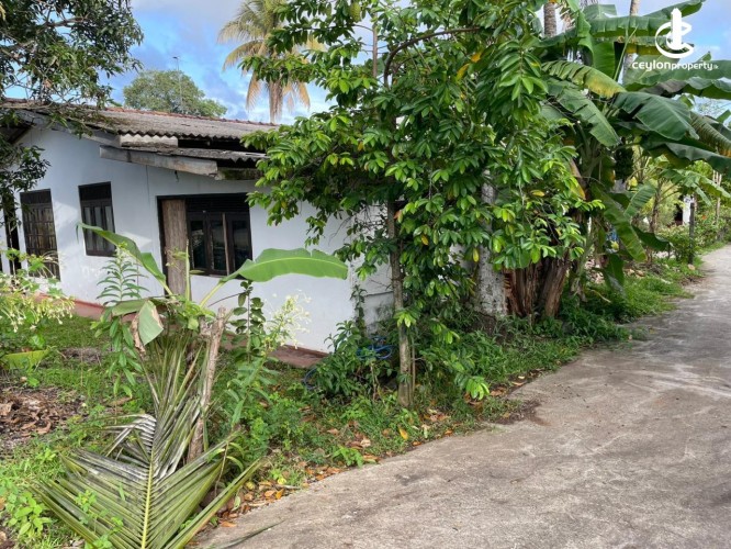 Land for Sale in Nugegoda - Land for Sale in Nugegoda - photo 4