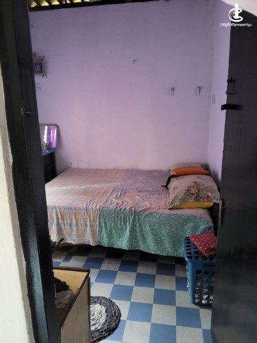 House for Sale in Nittambuwa - House for Sale in Nittambuwa - photo 3