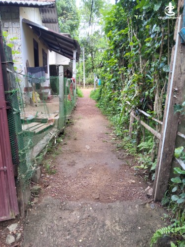 House for Sale in Nittambuwa - House for Sale in Nittambuwa - photo 5