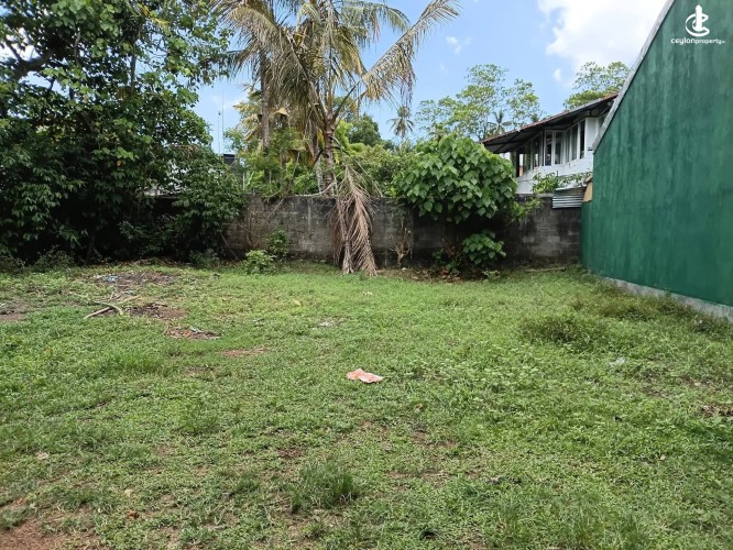 Land for Sale in Miriswatta - Land for Sale in Miriswatta - photo 1