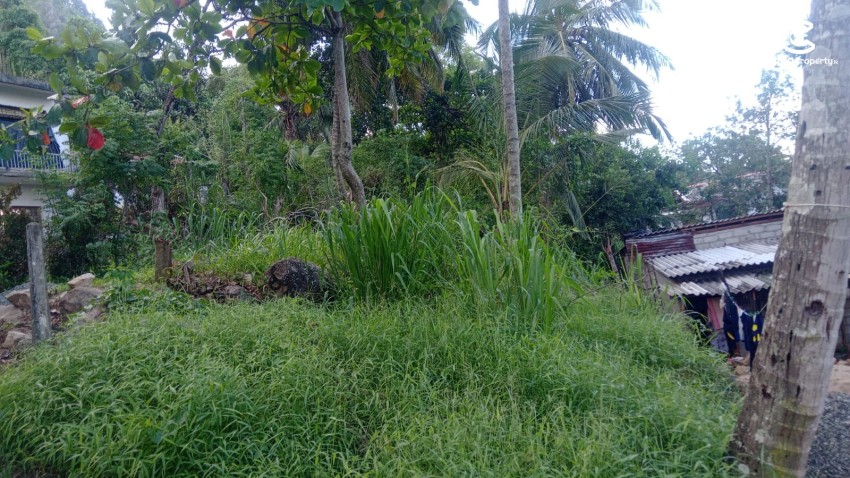 Land for Sale in Matale - Land for Sale in Matale - photo 1