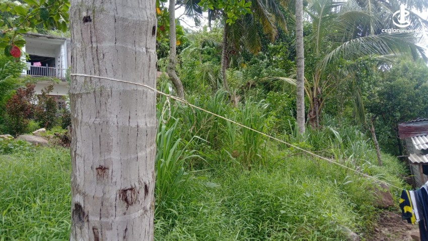 Land for Sale in Matale - Land for Sale in Matale - photo 2