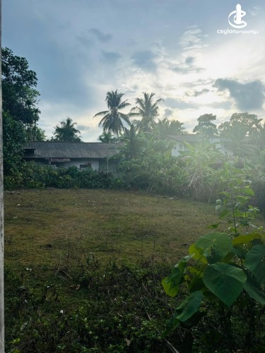 Land for Sale in Bandaragama - Residential Land for Sale in Bandaragama - photo 1