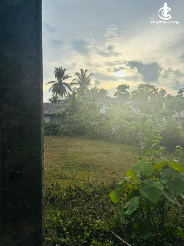 Land for Sale in Bandaragama - Residential Land for Sale in Bandaragama - photo 2