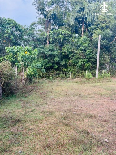 Land for Sale in Bandaragama - Residential Land for Sale in Bandaragama - photo 3