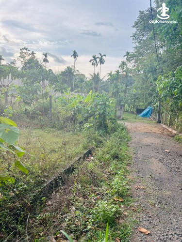 Land for Sale in Bandaragama - Residential Land for Sale in Bandaragama - photo 4