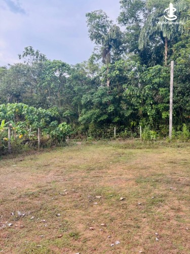 Land for Sale in Bandaragama - Residential Land for Sale in Bandaragama - photo 5