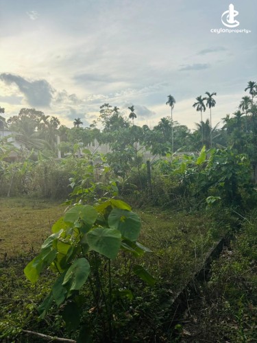 Land for Sale in Bandaragama - Residential Land for Sale in Bandaragama - photo 6
