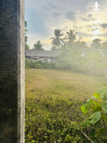 Land for Sale in Bandaragama - Residential Land for Sale in Bandaragama - photo 7