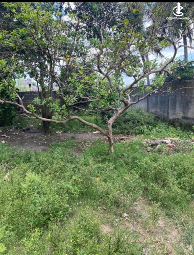 Land for Sale in Rajagiriya - Rajagiriya Walauwatta Road, 25.5 Perches of Land for Sale - photo 4