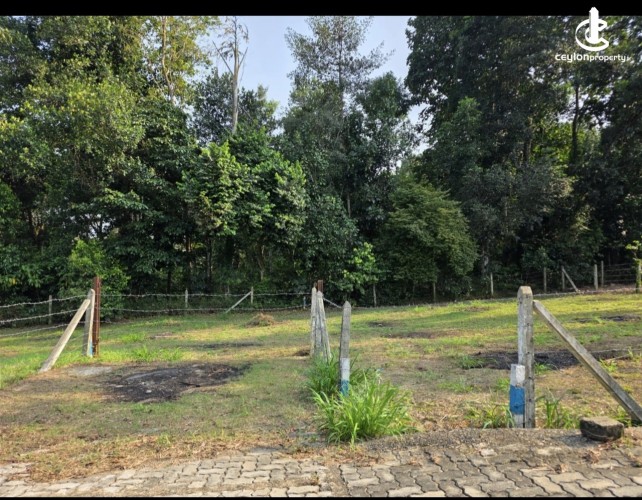 Land for Sale in Athurugiriya - Athurugiriya 28.6 Perches of Land For sale - photo 2