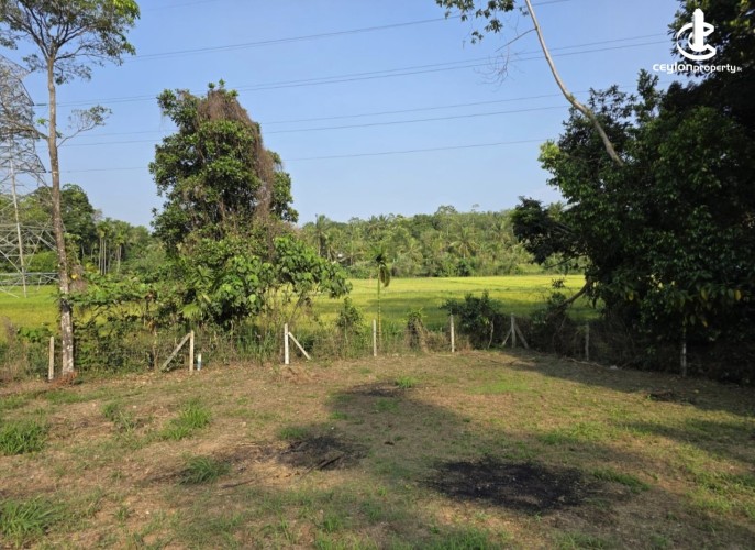 Land for Sale in Athurugiriya - Athurugiriya 28.6 Perches of Land For sale - photo 4