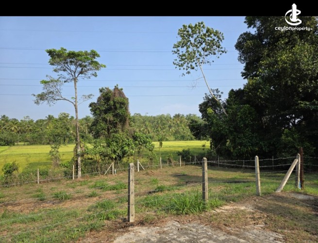 Land for Sale in Athurugiriya - Athurugiriya 28.6 Perches of Land For sale - photo 6
