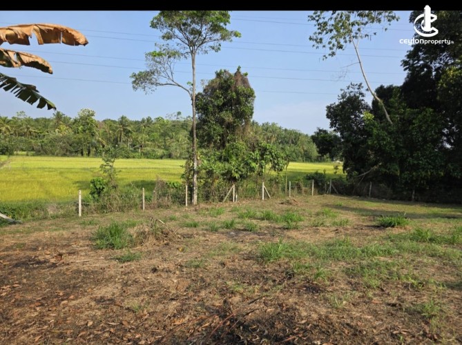 Land for Sale in Athurugiriya - Athurugiriya 28.6 Perches of Land For sale - photo 7