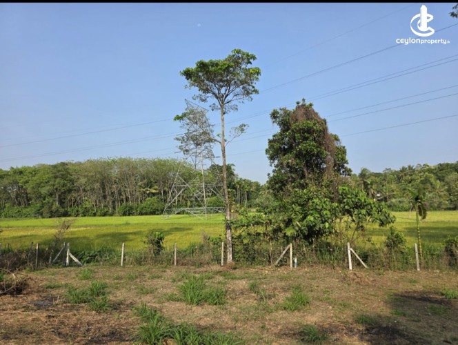 Land for Sale in Athurugiriya - Athurugiriya 28.6 Perches of Land For sale - photo 9