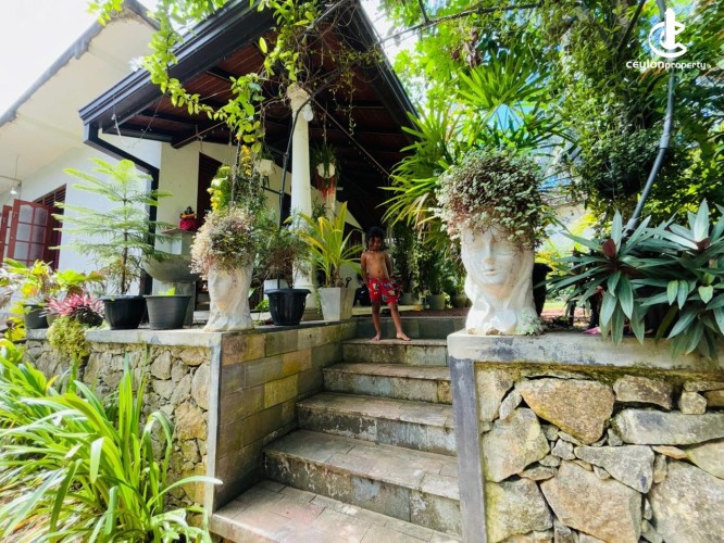 House for Sale in Unawatuna - House for sale in Unawatuna - photo 14