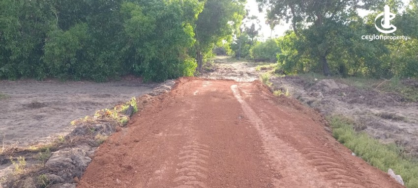 Land for Sale in Kalkudah - Land for Sale – Kalkudah (Passikudah Road) - photo 2