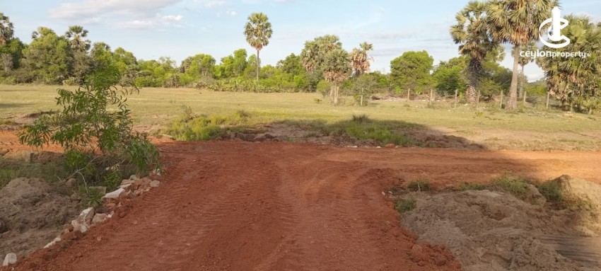 Land for Sale in Kalkudah - Land for Sale – Kalkudah (Passikudah Road) - photo 3