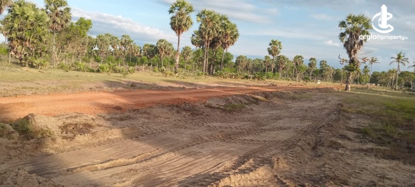 Land for Sale in Kalkudah - Land for Sale – Kalkudah (Passikudah Road) - photo 4
