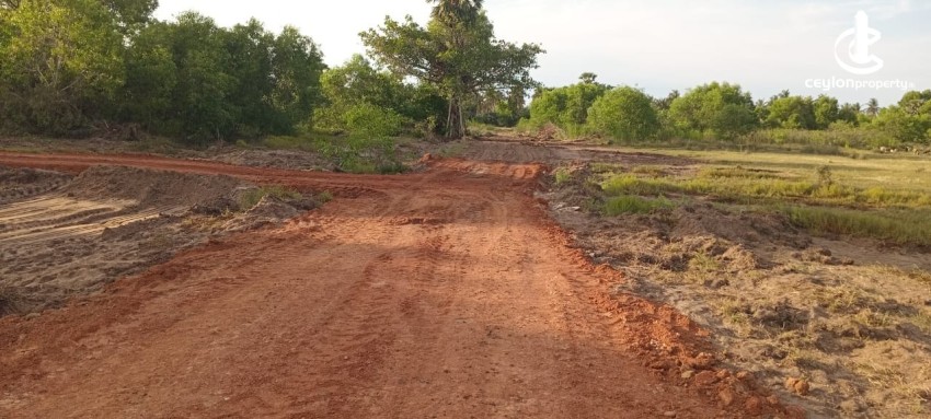 Land for Sale in Kalkudah - Land for Sale – Kalkudah (Passikudah Road) - photo 5